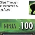 ninja100
