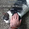 Petting