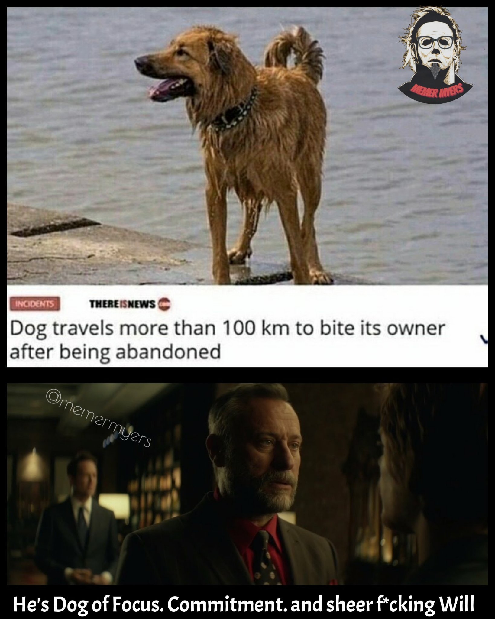 Dog Wick - meme