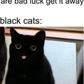 black cats: