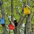 Are those bird feeders or cat feeders?