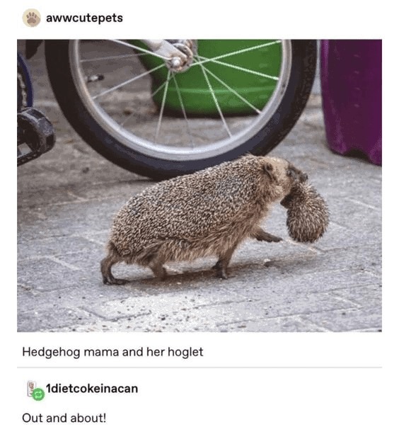 Gotta go fast - meme