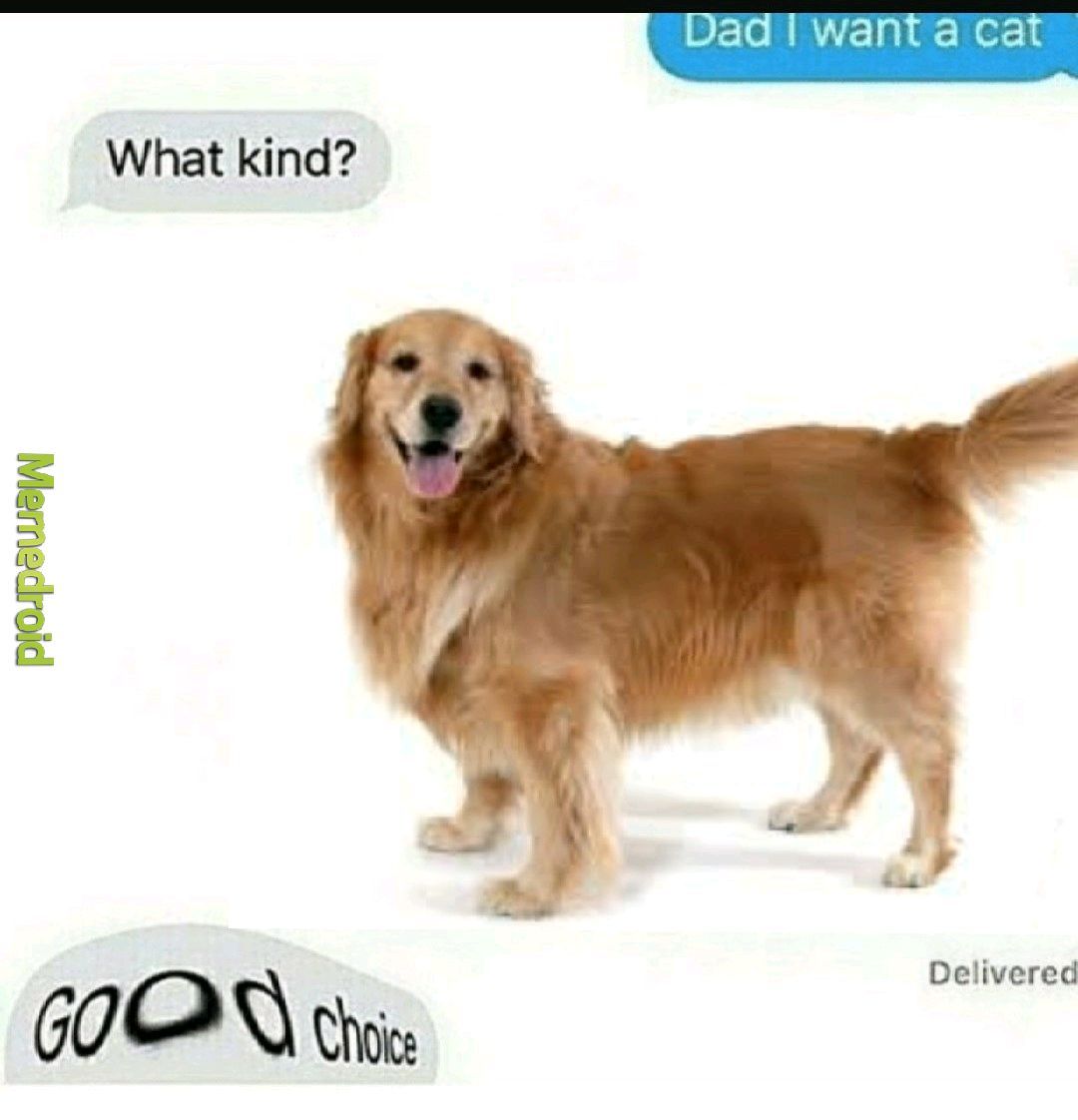 Dog(go) - meme