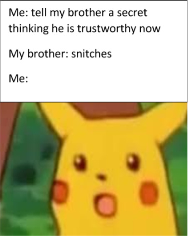 snitches get stiches - meme