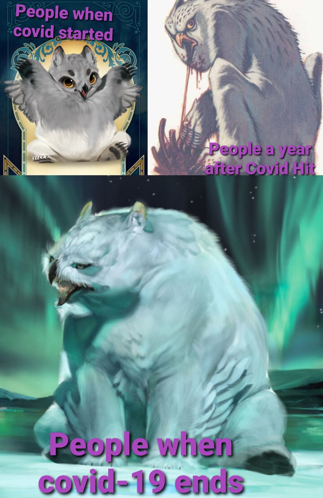 The Stages of people during Covid (As shown with artic owlbears) - meme