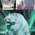 The Stages of people during Covid (As shown with artic owlbears)