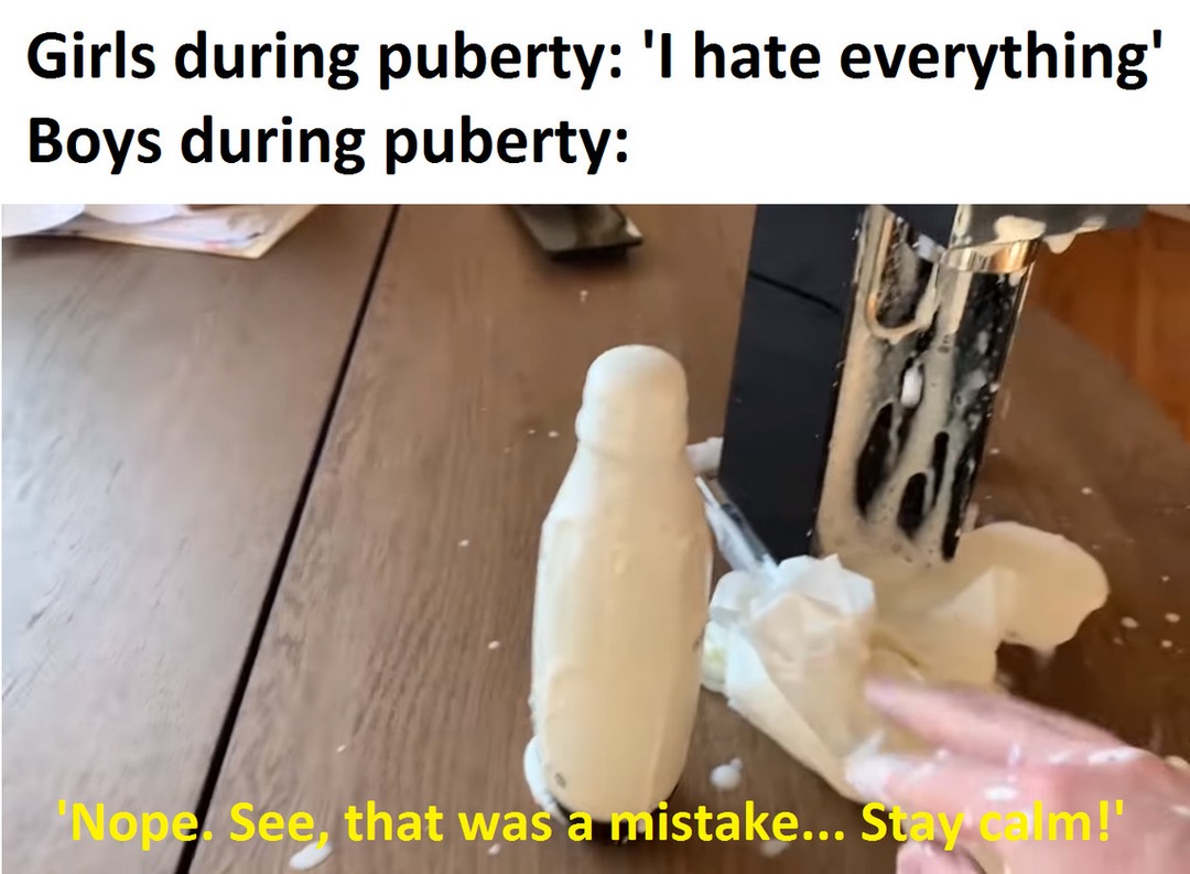 Puberty - meme