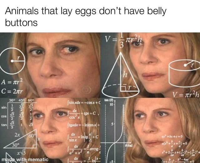 Animals that lay eggs - meme