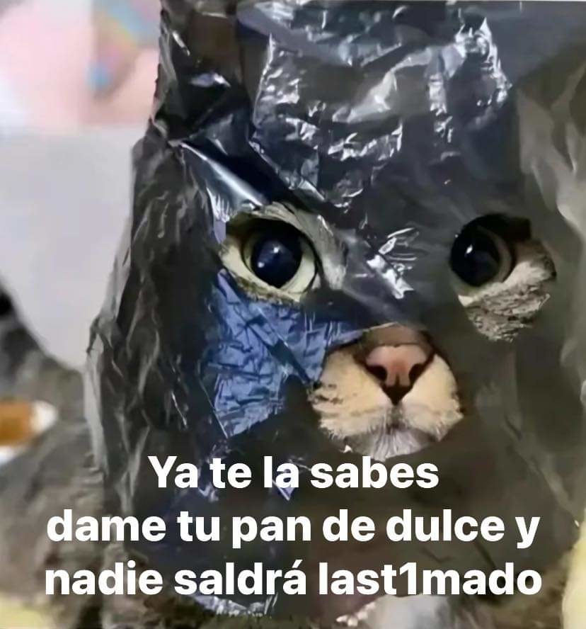 Ya quiero pan de muerto (pero que si este hecho de muerto), salaverga, que void me ví xd - meme
