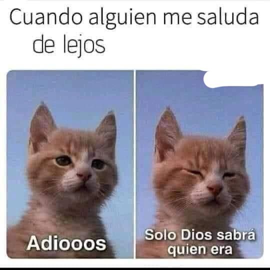 Puede pasar - meme