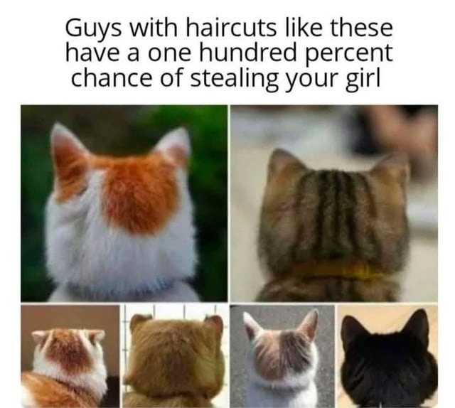 If he has this haircut, she’s already gone - meme