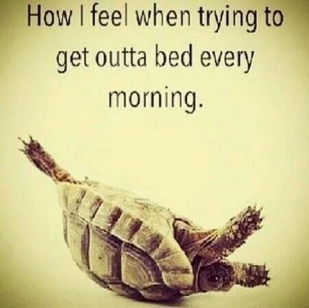 This is totally me every morning - meme