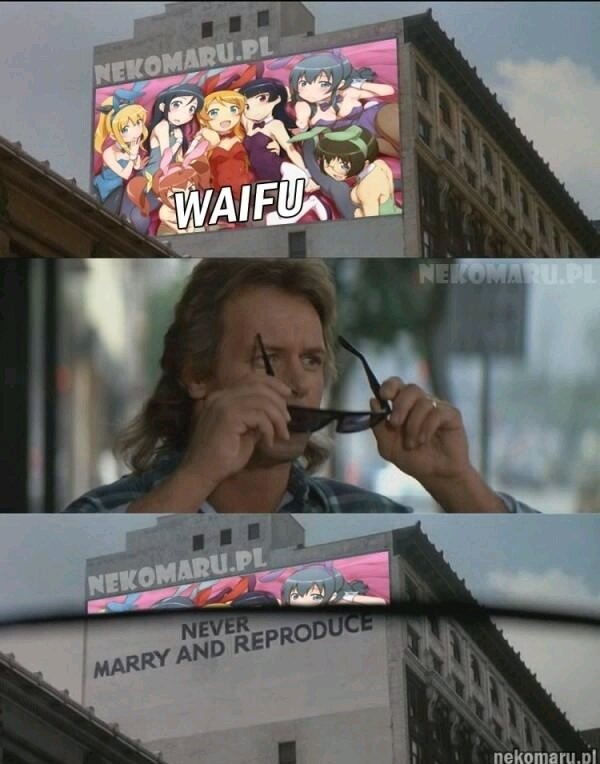Waifus - meme