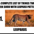 A complete list of things that look good with leopard pattern