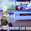 Mi Shrek se llama Shrek
