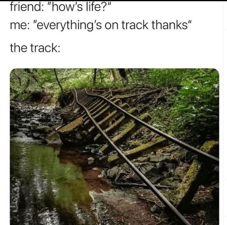 we on track bb - meme