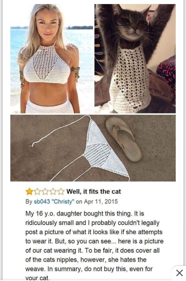 Do not buy for cat - meme