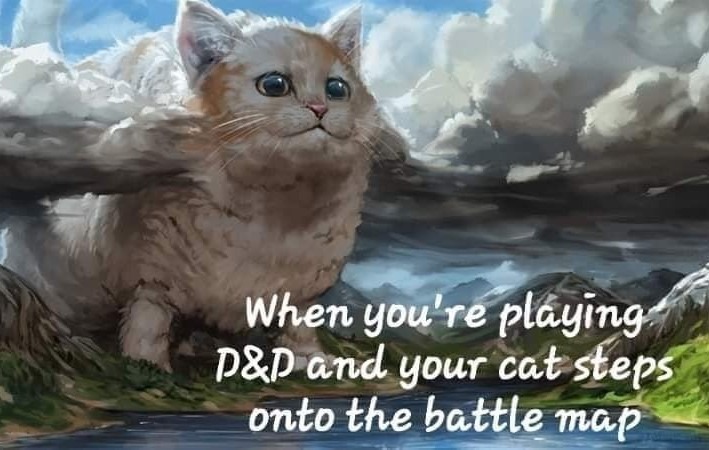 D&D Kitty - meme