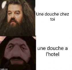 Hagrid - meme