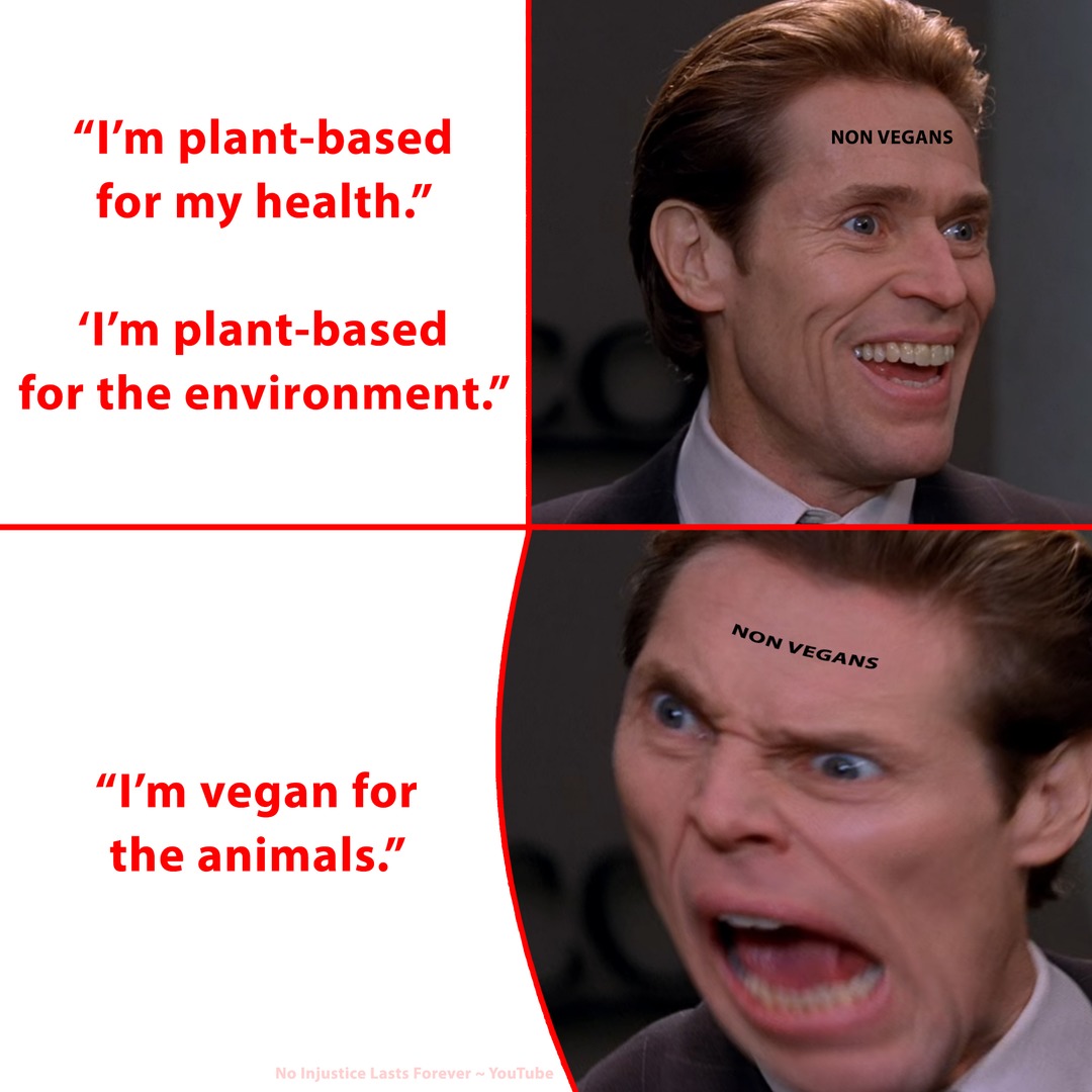 For "the environment"? - meme