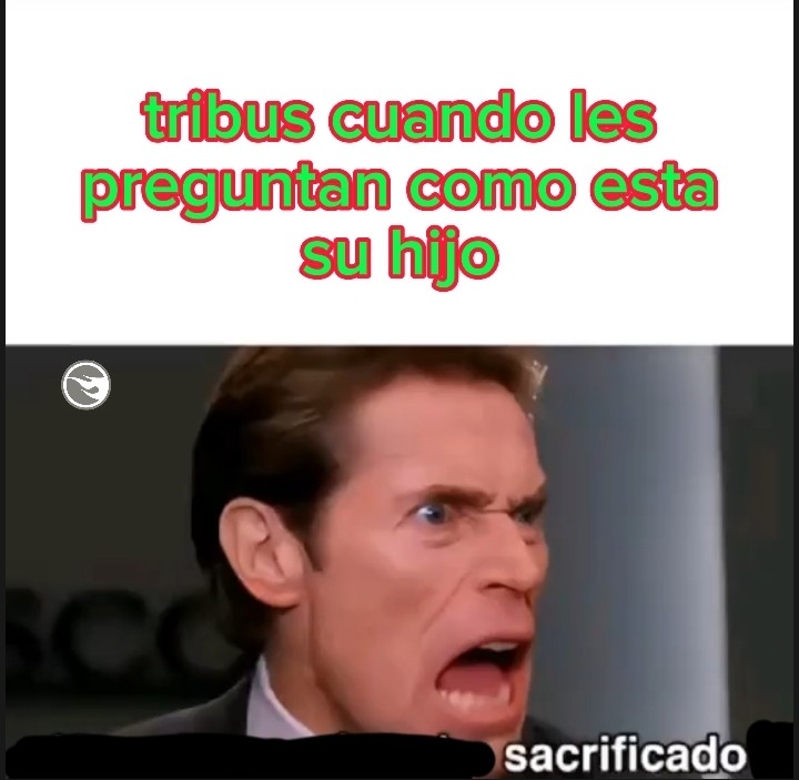 la tribu de (usuario odiado)/el autor - meme