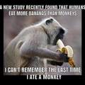I ate a monkey once