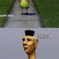 hamood