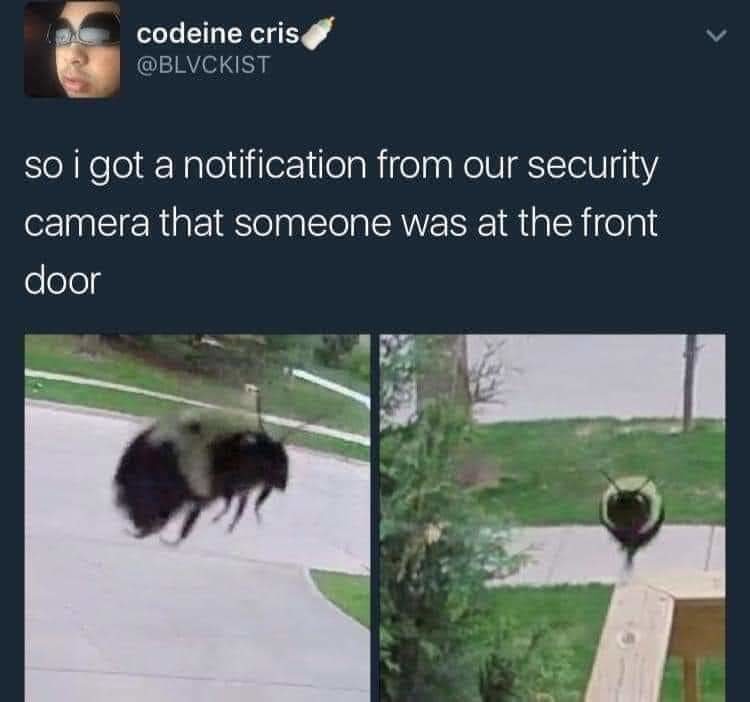 funny security camera meme