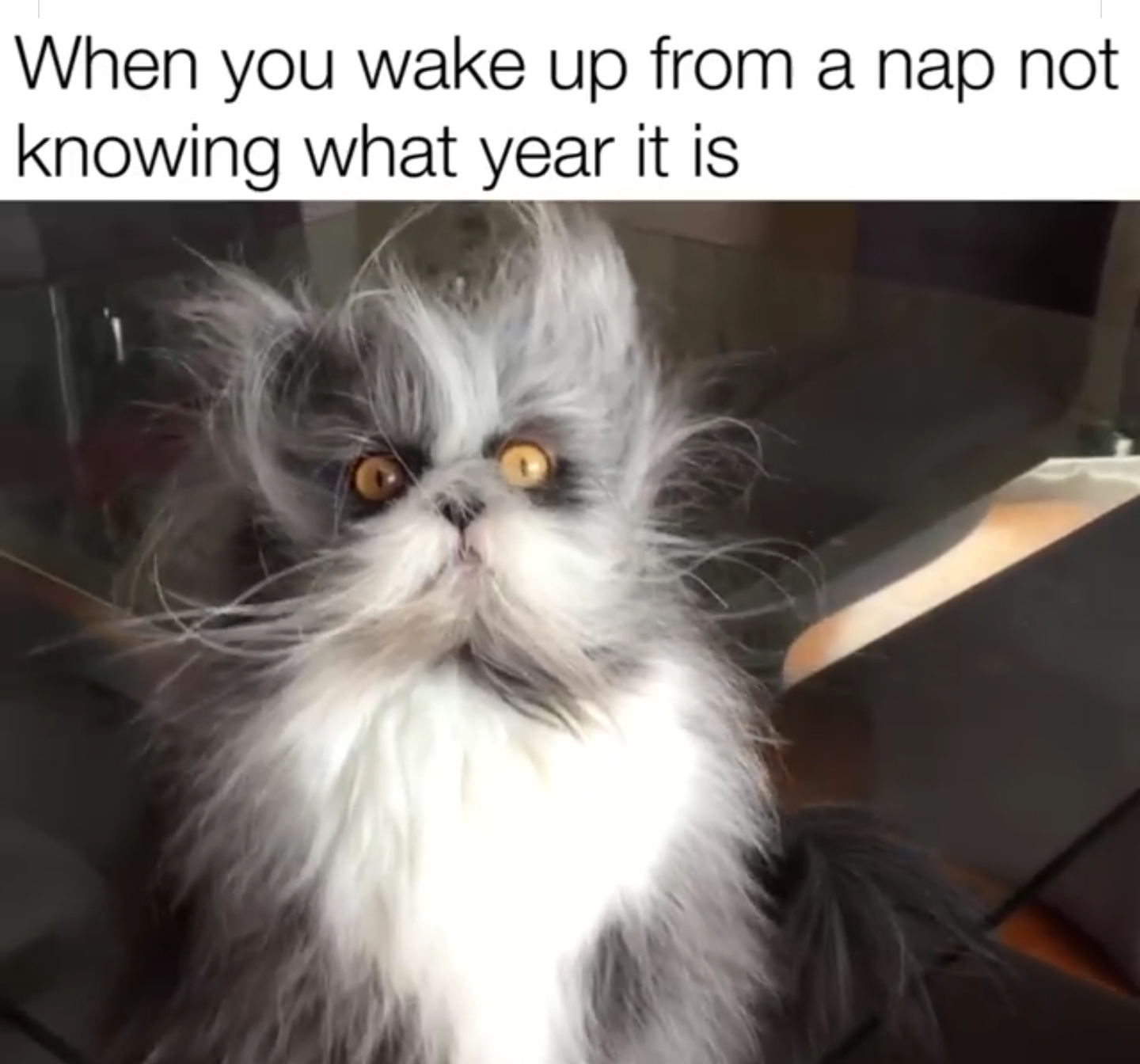 Nap time - meme