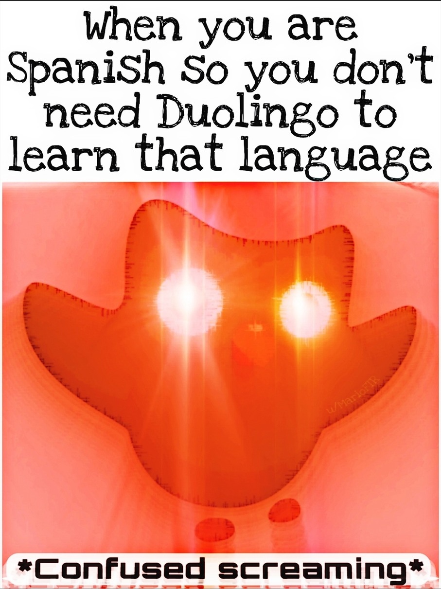 Duolingo is scared - meme
