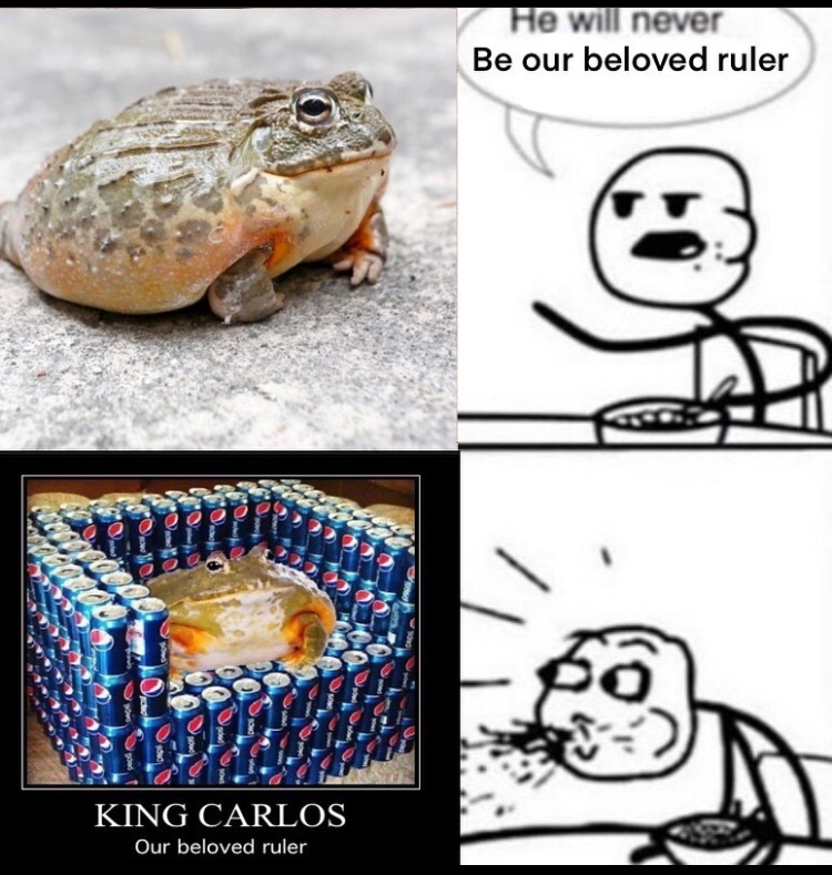 all hail king Carlos - meme