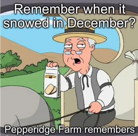Remember when it snowed in December? - meme