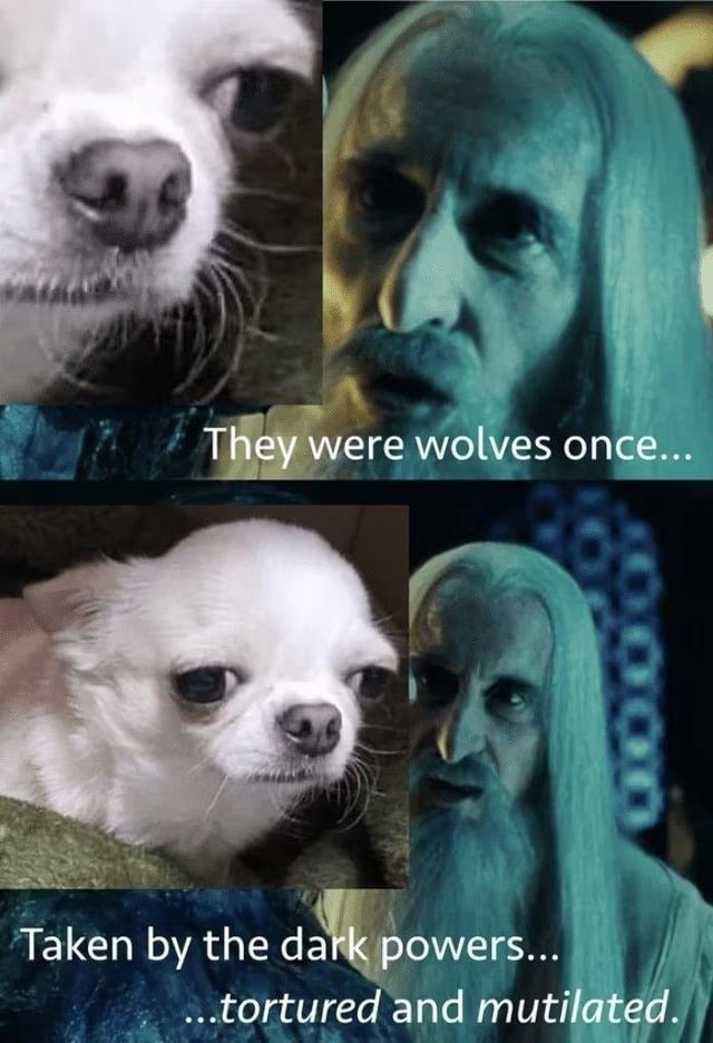 They were wolves once - meme