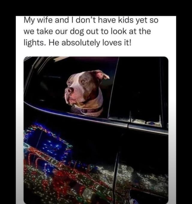 No kids yet so we flex dog light tours instead - meme