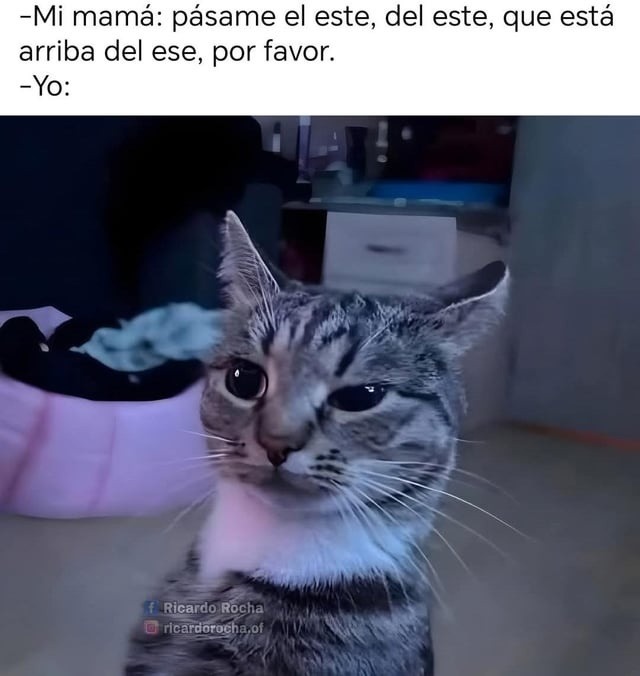 Mi mamá pidiendo cosas con coordenadas interdimensionales - meme