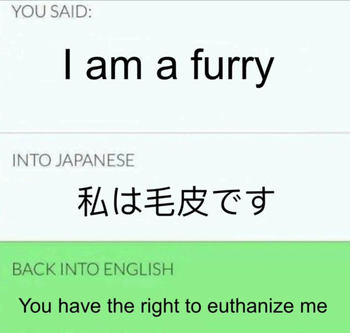 I am a furry - meme