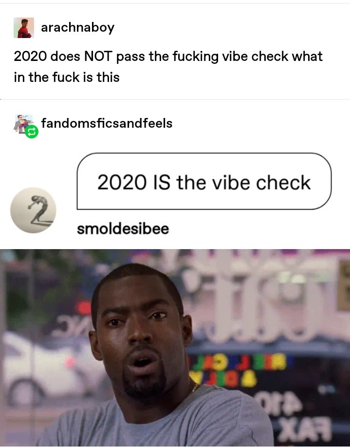 let me check your vibes - meme