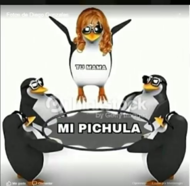 Mi pichu - meme