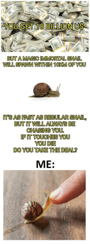 Snail memes