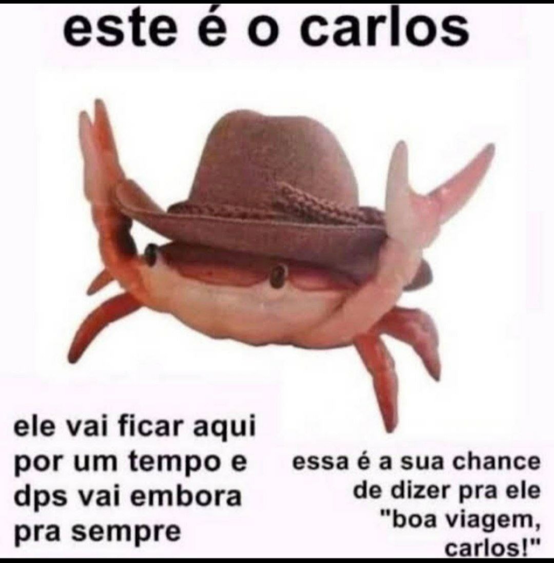 Boa viagem Carlos - meme