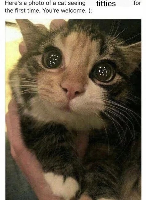 Valid reaction - meme