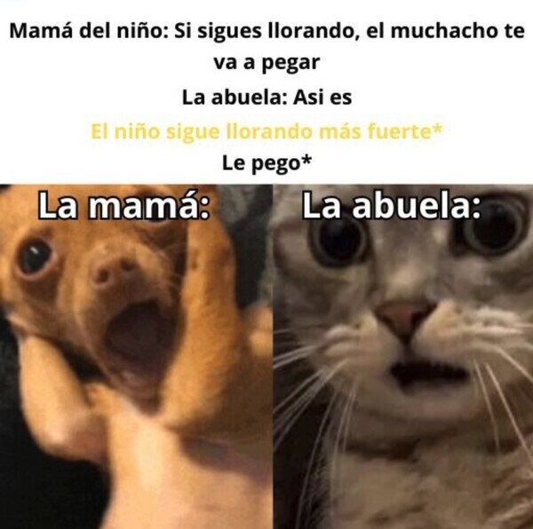 Memes de humor negro 2024