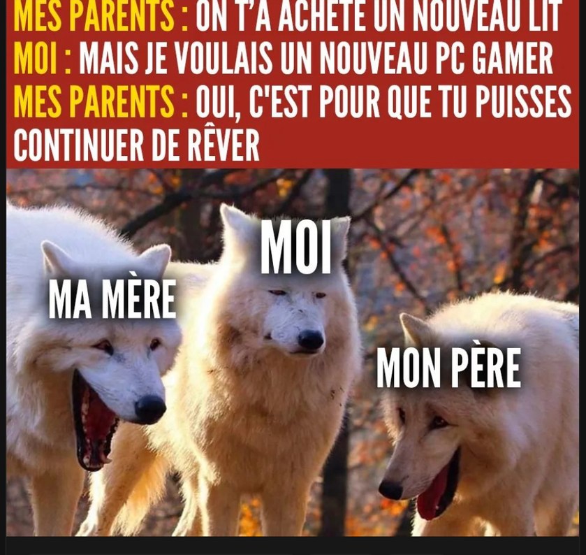 Lol - meme