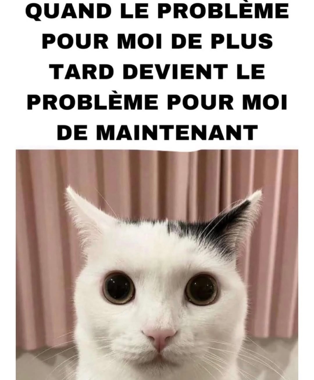 Quand le futur moi décide que c’est déjà le problème du moi présent - meme