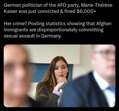 German politician convicted and fined for posting stats showing this - meme