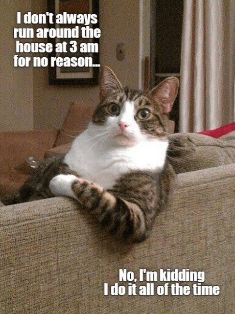 It’s 3am and I’m sprinting through the house like a goblin... again - meme