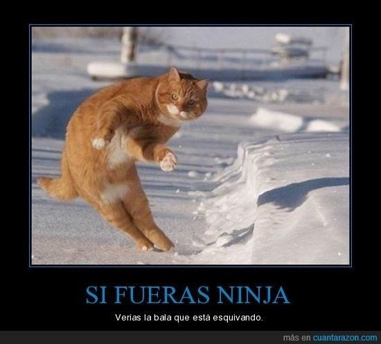 el 4k: - meme