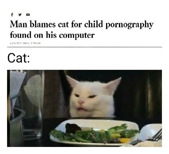 T'was a cat - meme