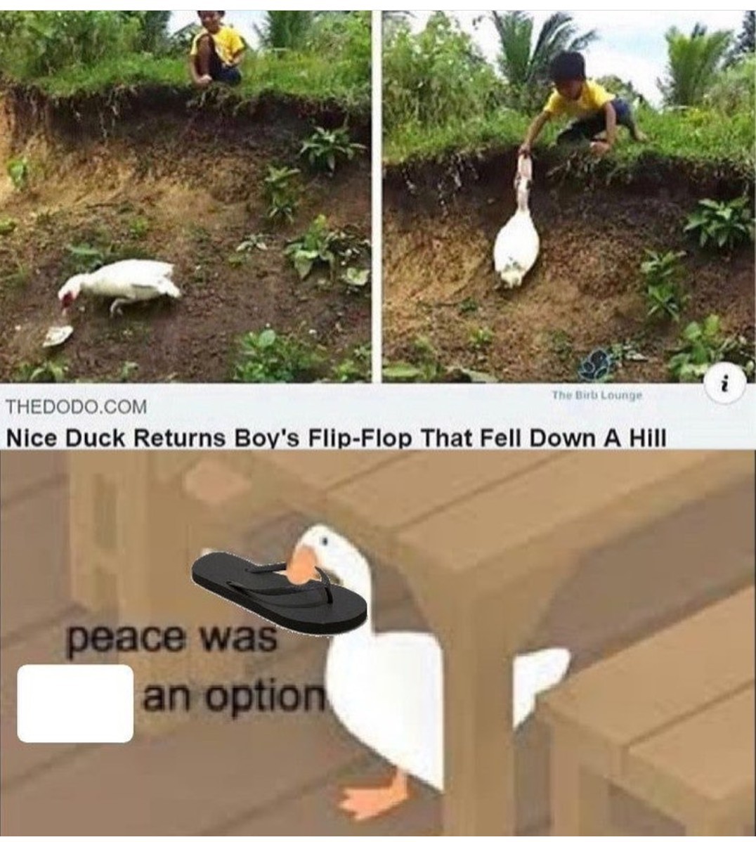 peace - meme