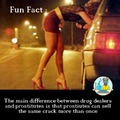 Fun Fact #804-r